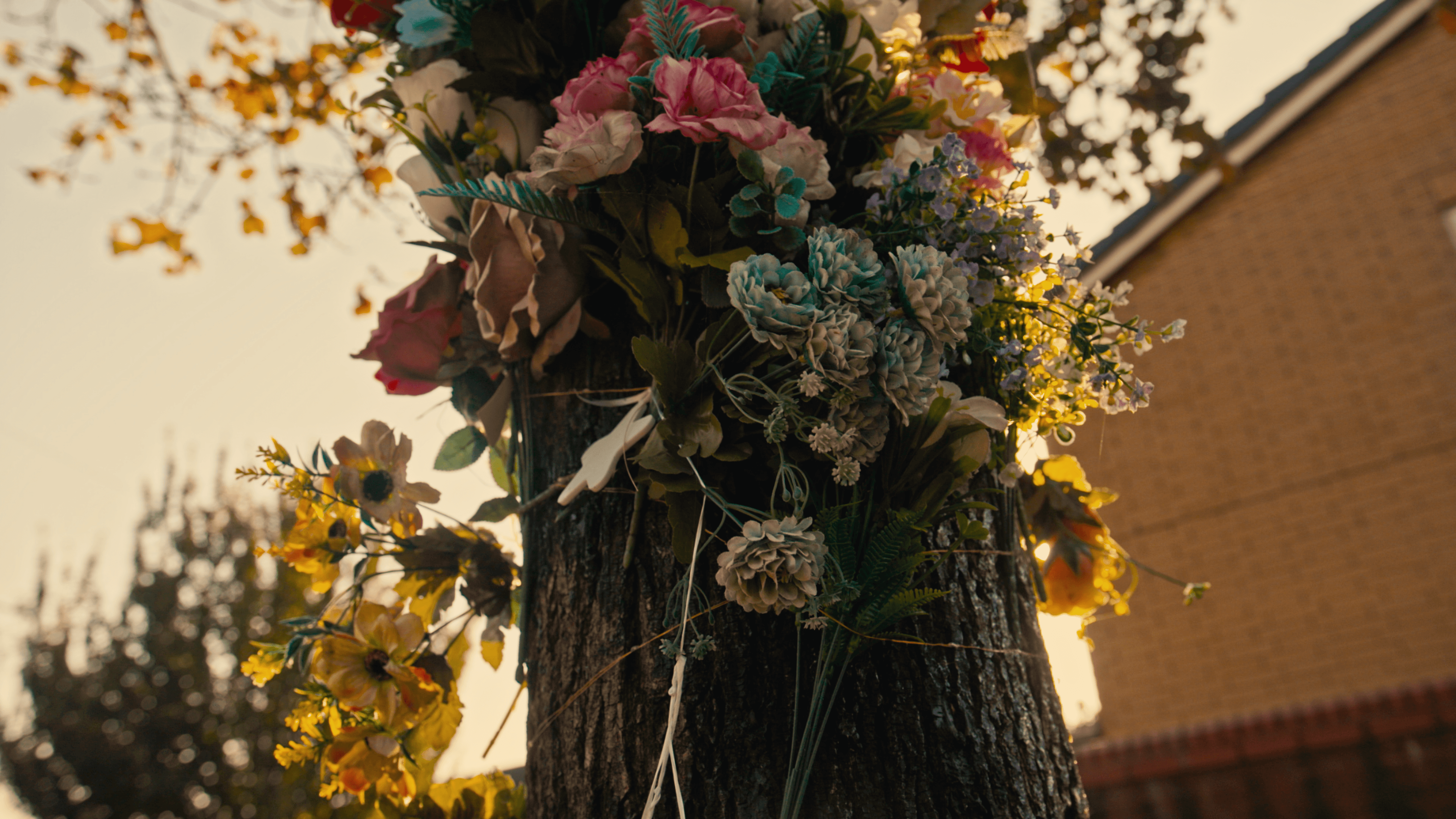 Their legacy lives on.